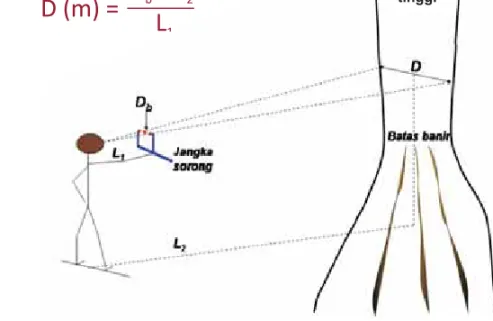 Gambar 5. Skema estimasi diameter pohon yang berbanir tinggi berdasarkan pendekatan geometri