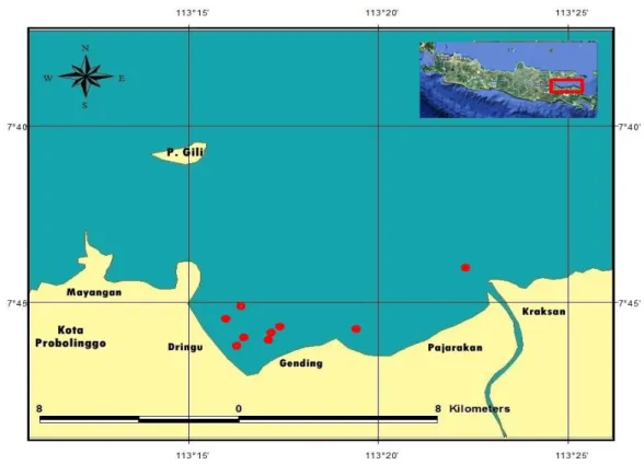Gambar 3 Peta sebaran hiu paus di pesisir Kabupaten Probolinggo  Jumlah perjumpaan hiu paus 