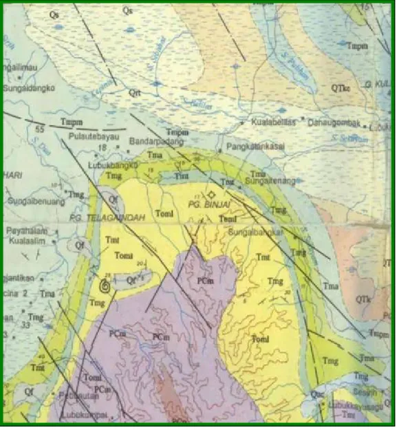 Gambar 2. Peta Geologi Daerah Penyelidikan 