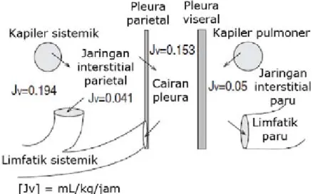 Gambar 4 Skema tekanan dan pergerakan cairan pada rongga pleura manusia 4Tabel 1 Penyebab efusi pleura4