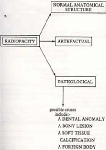 Gambar 5.  Pedoman langkah-langkah menetapkan diagnosis radiografi lesi rongga mulut 
