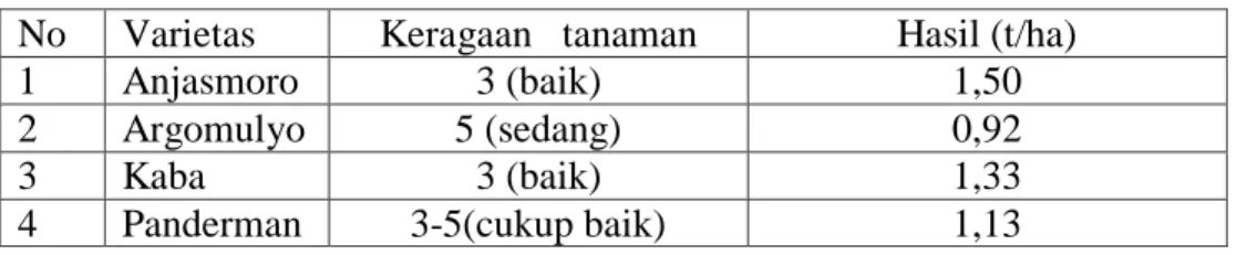 Tabel 7.  Keragaan dan hasil beberapa varietas kedelai di lahan rawa lebak       MK 2010 Desa Tanjung Marwo Kecamatan Muara Tembesi -Jambi   No  Varietas  Keragaan   tanaman  Hasil (t/ha) 