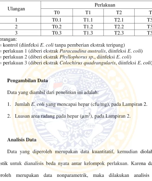 Tabel 3.2. Rancangan penelitian  Ulangan  Perlakuan  T0 T1 T2  T3  1 T0.1  T1.1  T2.1  T3.1  2 T0.2  T1.2  T2.2  T3.2  3 T0.3  T1.3  T2.3  T3.3  Keterangan: 