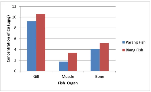 Figure 3. Consentration of Cu  in Paran Parang  fish (C. Dorab) and Biang Biang Fish                  (S