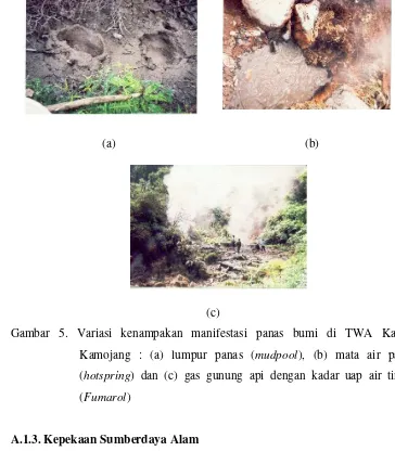 Gambar 5. Variasi kenampakan manifestasi panas bumi di TWA Kawah 