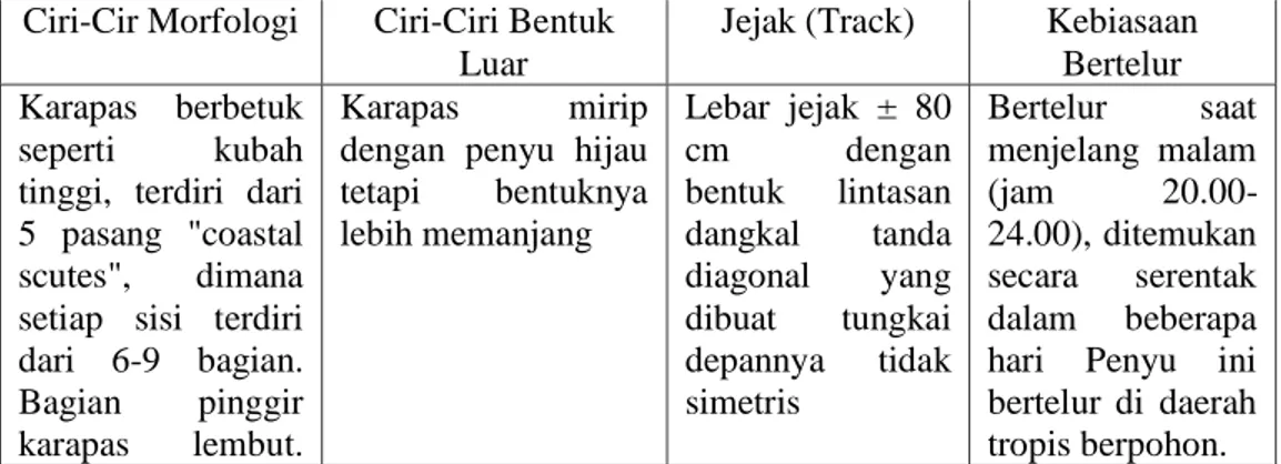 tabel 2.1 : karakteristik habitat penyu lekang  Ciri-Cir Morfologi  Ciri-Ciri Bentuk 