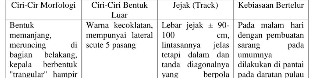tabel 2.4 : karakteristik habitat penyu tempayan Ciri-Cir Morfologi  Ciri-Ciri Bentuk 