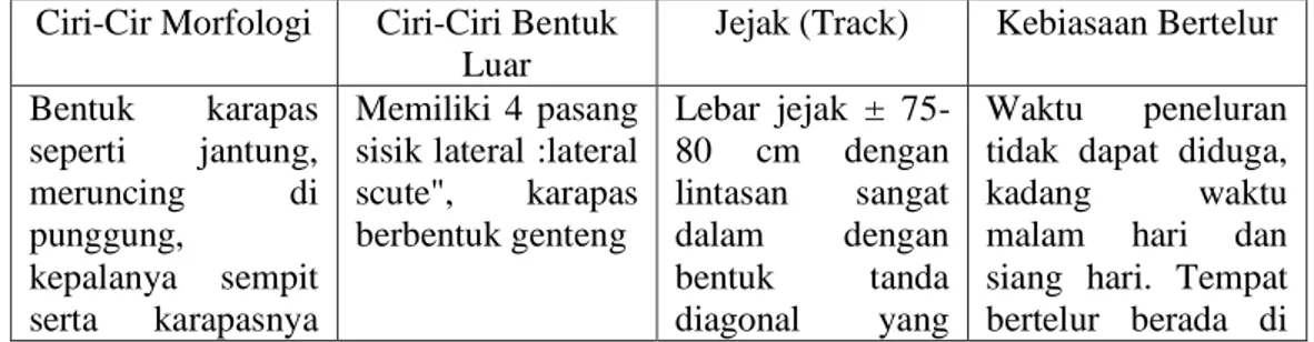 tabel 2.5 : karakteristik habitat penyu sisik  Ciri-Cir Morfologi  Ciri-Ciri Bentuk 