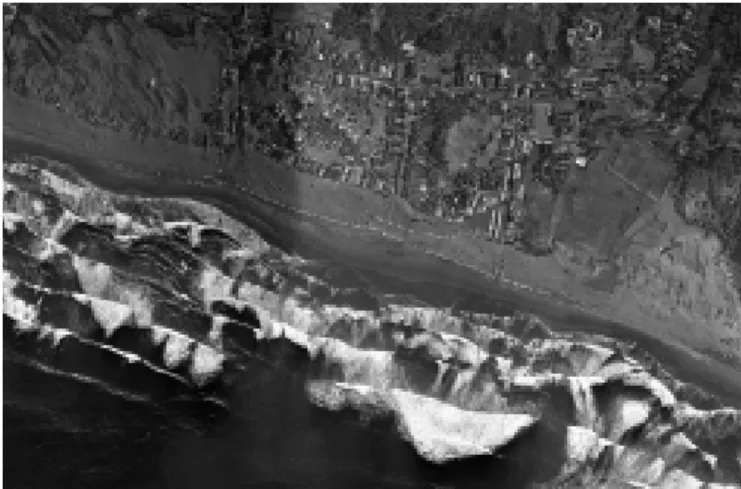 Gambar 10. Foto Udara Pankromatik Hitam Putih Daerah Parangtritis, Bantul tahun 2000  (Fakultas Geografi UGM, 2000) 