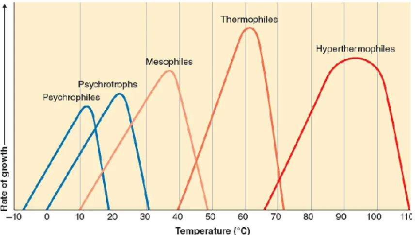 Gambar 2.7 Tingkat pertumbuhan yang berbeda dari berbagai tipe  mikroorganisme pada ransangan temperatur (Funke et al., 2013)  2.5.2