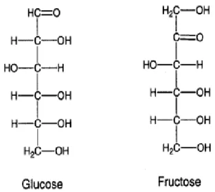 Gambar 2.8 Rantai Hidrokarbon glukosa dan fruktosa (Anonim, 2015)  Rumus  molekul  dari  sukrosa  sendiri  adalah             seperti  yang  ditunjukkan oleh Gambar 2.9 Berat molekul yang dimiliki sukrosa adalah sebesar  342.29648  g/mol  dan  titik  didih