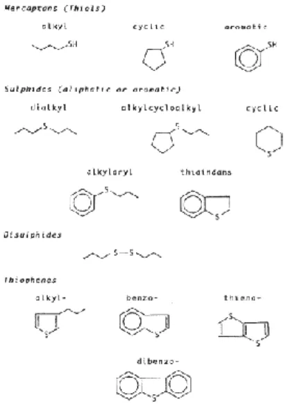 Gambar 2.3 Tipe sulfur mengandung komponen organik (Shennan, 1996  dalam Prayuenyong, 2002) 