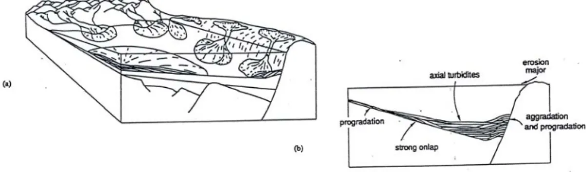 Gambar II.5. Sistem trak dari immediate post rift. (a) blok diagram secara umum. 