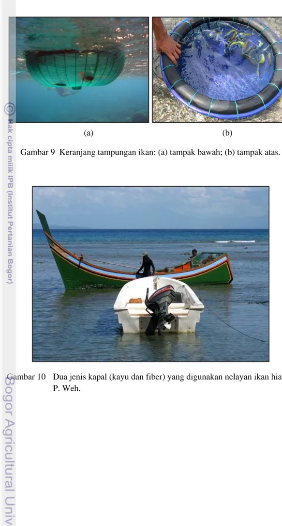 Gambar 10   Dua jenis kapal (kayu dan fiber) yang digunakan nelayan ikan hias di  P. Weh