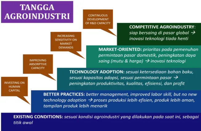 Gambar 8.  Tangga menuju agroindustri Indonesia yang kompetitif 