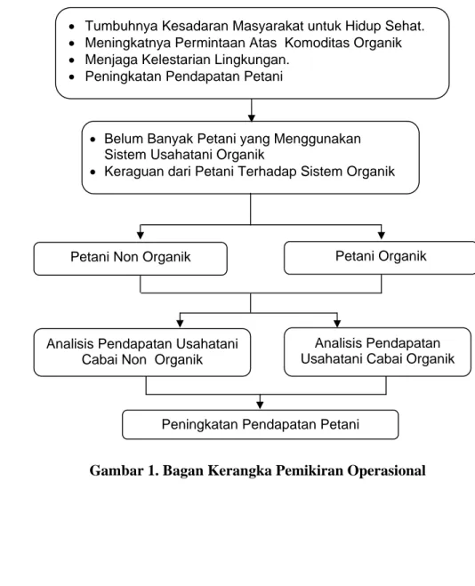 Gambar 1. Bagan Kerangka Pemikiran Operasional  Analisis Pendapatan  Usahatani Cabai Organik 