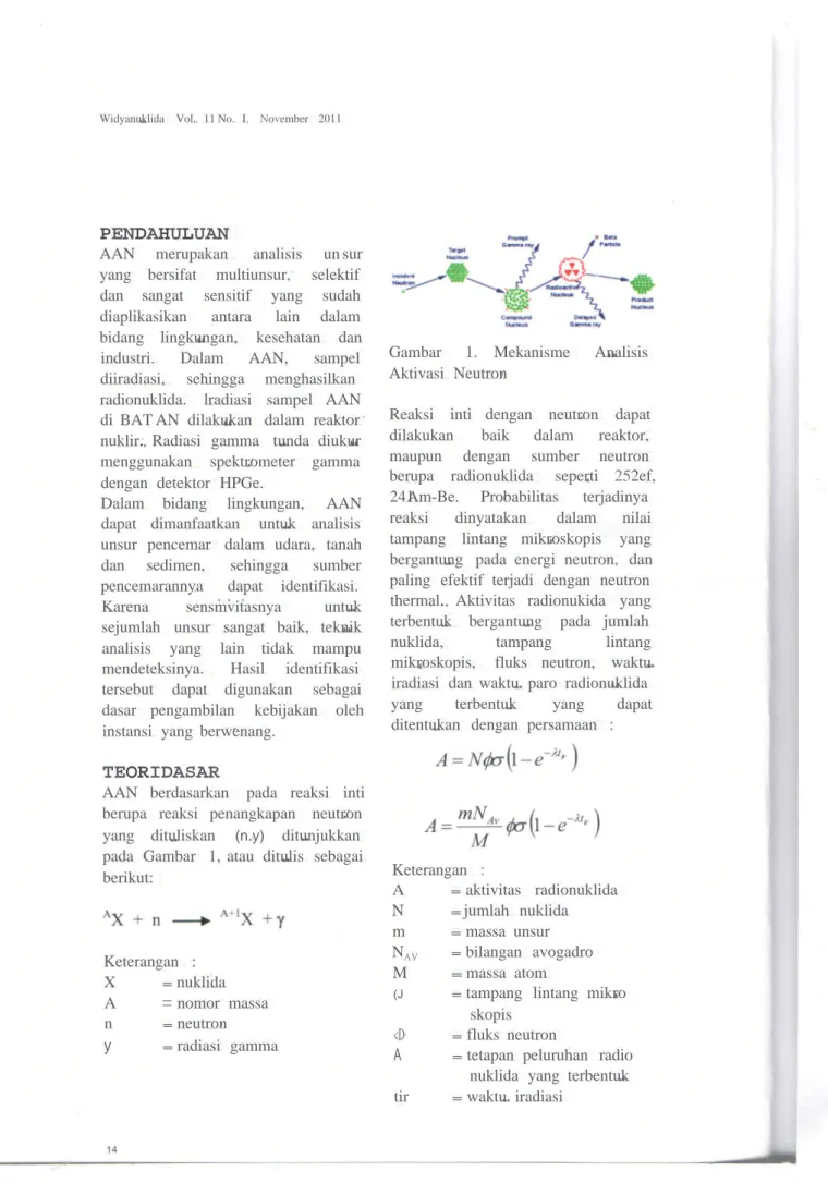 Gambar 1. Mekanisme Analisis Aktivasi Neutron