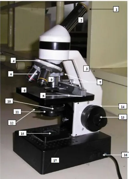 Gambar 2. Bagian-bagian Mikroskop Monokuler LGA Tipe 3402. 