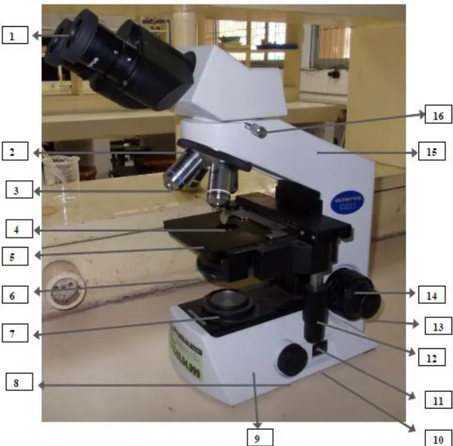 Gambar 3. Bagian-bagian Mikroskop Binokuler CX-21  Bagian-bagian Mikroskop Binokuler CX-21 