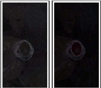 Gambar 8.  Hasil Forensic Jpegsnoop  Rekayasa Image Splicing (a) gambar asli (b) 