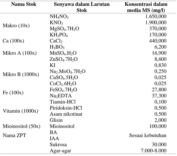 Tabel 2. Formulasi media MS ( Murashige dan Skoog, 1962)  Nama Stok  Senyawa dalam Larutan 