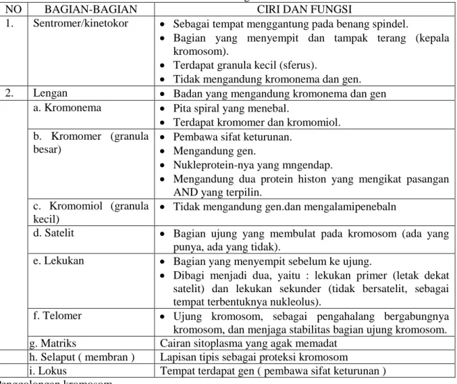 Tabel 1. Struktur dan fungsi kromosom 
