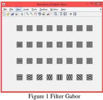 Figure 1 Filter Gabor 