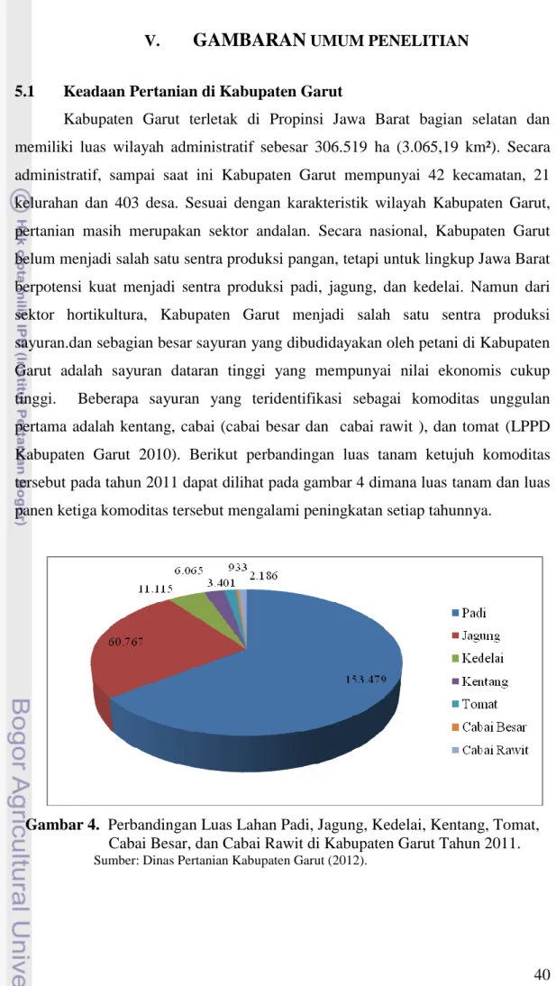 Gambar 4.  Perbandingan Luas Lahan Padi, Jagung, Kedelai, Kentang, Tomat,      Cabai Besar, dan Cabai Rawit di Kabupaten Garut Tahun 2011