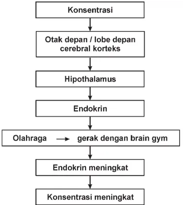 Gambar 1. Bagan Pengaruh Brain Gym Dalam Meningkatan Konsentrasi Belajar METODE PENELITIAN