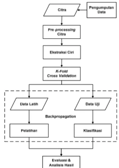 Gambar 2  Skema metode penelitian  Pengumpulan Data 