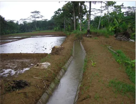 Gambar 5.  Pembangunan jaringan irigasi kuarter merupakan salah satu  aspek pengembangan irigasi air permukaan 