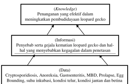 Gambar 1. Proses dari data ke knowledge  B.  Proses Knowledge Management (SECI Model) 
