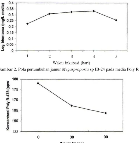Gambar 2. Pola pertumbuhan jamur Megasproporia sp IB-24 pada media Poly R-478 _ 180