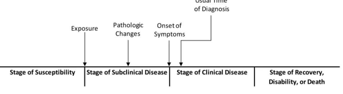 Gambar 1. Natural History of Disease (CDC, 2012) 
