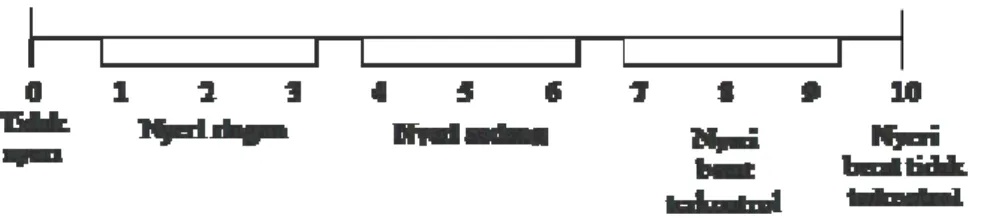 Gambar 2.1 Verbal Descriptor Scale (VDS) 