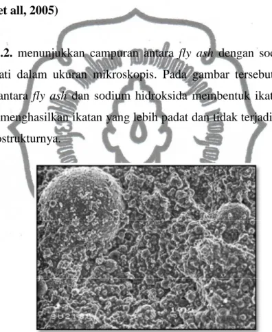 Gambar  2.2.  menunjukkan  campuran  antara  fly  ash  dengan  sodium  hidroksida  yang  diamati  dalam  ukuran  mikroskopis