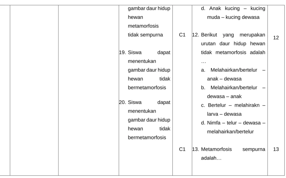 gambar daur hidup  hewan 