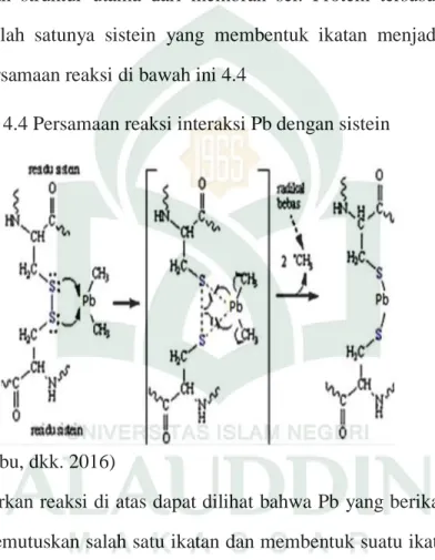 Gambar 4.4 Persamaan reaksi interaksi Pb dengan sistein 