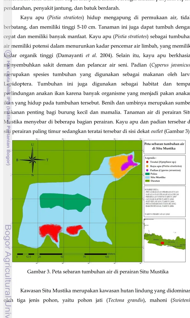 Gambar 3. Peta sebaran tumbuhan air di perairan Situ Mustika 
