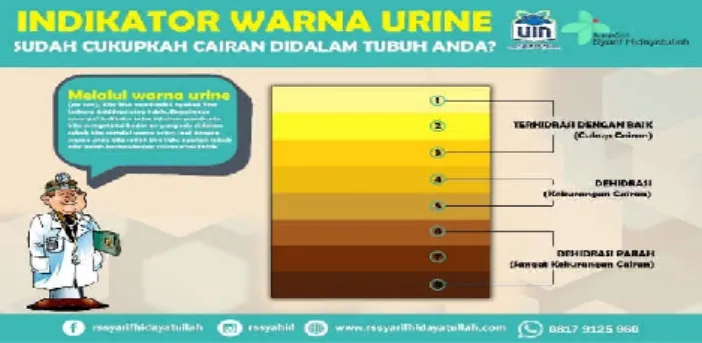 Tabel Indikator Warna Urine 