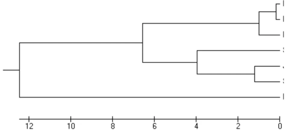 Tabel 6. Matrik jarak genetik antara populasi kerbau rawa 