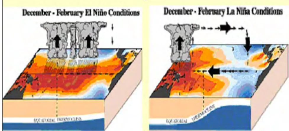 Gambar 1. Struktur laut Samudera Pasifik pada saat El Nino dan La Nina  (sumber : http://www.cpc.ncep.noaa.gov) 