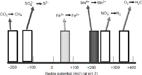 Gambar 2.  Batasan potensial redoks beberapa unsur akseptor elektron  pada pH 7  