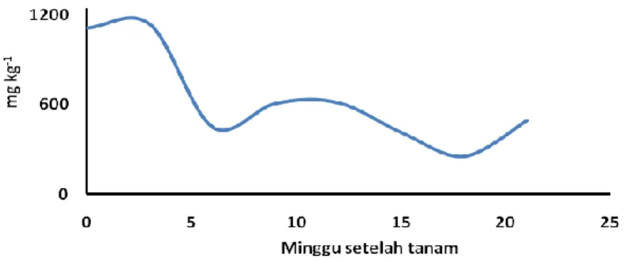 Figure 10.  The dynamics of Fe 2+  concentration in paddy water system  in one direction during 21 weeks of observation after planting 