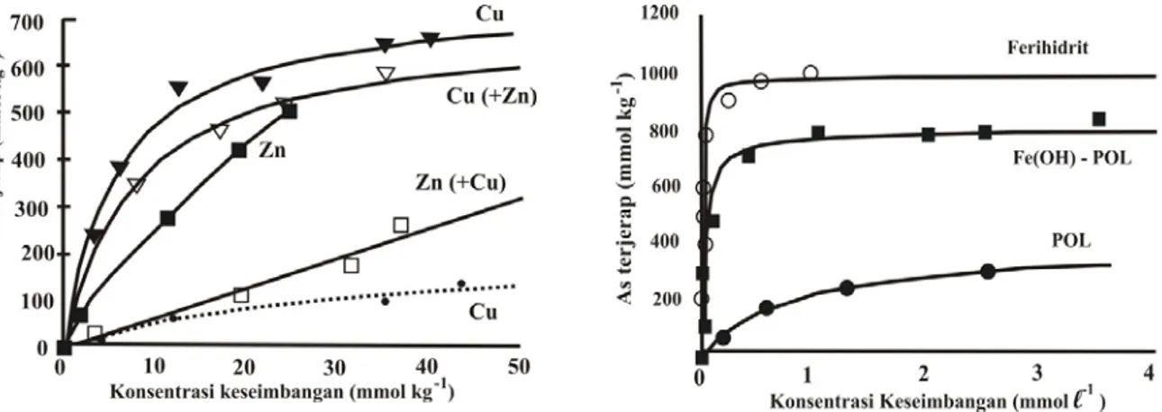 Gambar 3B menunjukkan isoterm jerapan dari  ion As pada pH 4,0 oleh tiga penjerap yang  berbeda, dimana As terjerap paling banyak pada  permukaan ferihidrit dan terendah pada  permukaan POL