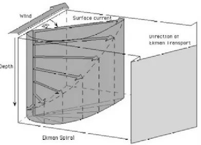 Gambar 3.1.  Proses spiral Ekman akibat tiupan angin permukaan.