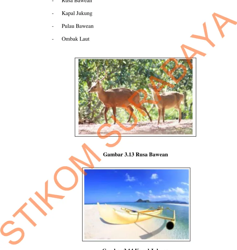 Gambar 3.13 Rusa Bawean 