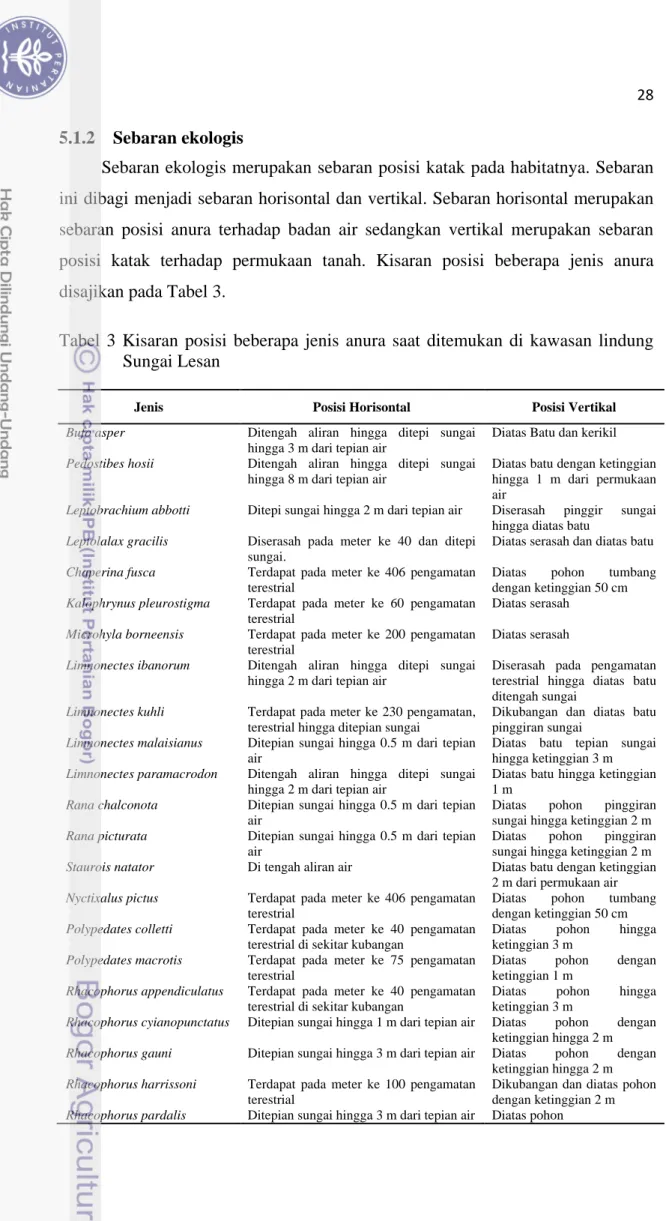 Tabel  3  Kisaran  posisi  beberapa  jenis  anura  saat  ditemukan  di  kawasan  lindung  Sungai Lesan 