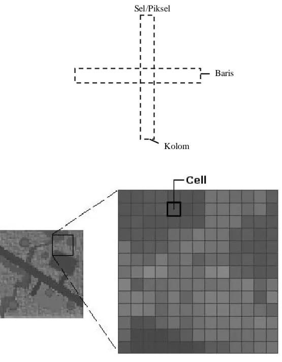 Gambar 2.3 Struktur M odel Data Raster Sel/Piksel 