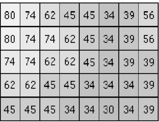 Gambar 2.4 Struktur Penyimpanan M odel Data Raster 